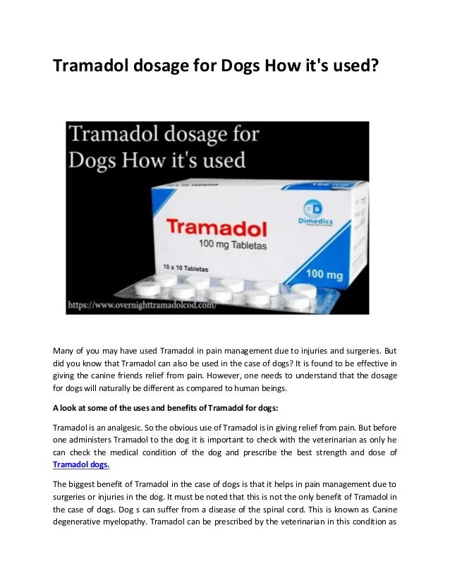 Tramadol Dosage For Dogs How It S Used