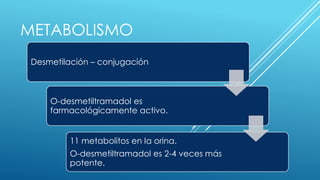 METABOLISMO 
Desmetilación – conjugación 
O-desmetiltramadol es 
farmacológicamente activo. 
11 metabolitos en la orina. 
O-desmetiltramadol es 2-4 veces más 
potente. 
 