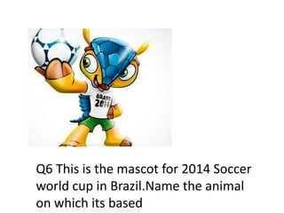 Q6 This is the mascot for 2014 Soccer
world cup in Brazil.Name the animal
on which its based
 