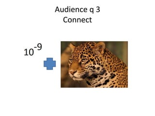 Audience q 3
  Connect
 