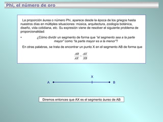 Phi, el número de oro Diremos entonces que AX es el segmento áureo de AB La proporción áurea o número Phi, aparece desde la época de los griegos hasta nuestros días en múltiples situaciones: música, arquitectura, zoología botánica, diseño, vida cotidiana, etc. Su expresión viene de resolver el siguiente problema de proporcionalidad: • ¿Cómo dividir un segmento de forma que  “el segmento sea a la parte  mayor”  como  “la parte mayor es a la menor” ? En otras palabras, se trata de encontrar un punto X en el segmento AB de forma que A B X 