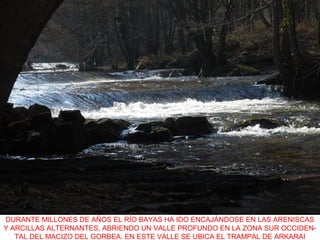 DURANTE MILLONES DE AÑOS EL RÍO BAYAS HA IDO ENCAJÁNDOSE EN LAS ARENISCAS
Y ARCILLAS ALTERNANTES, ABRIENDO UN VALLE PROFUNDO EN LA ZONA SUR OCCIDEN-
TAL DEL MACIZO DEL GORBEA. EN ESTE VALLE SE UBICA EL TRAMPAL DE ARKARAI
 