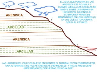 ARENISCA
ARCILLAS
ARENISCA
ARCILLAS
1
1
LAS LADERAS DEL VALLE EN QUE SE ENCUENTRA EL TRAMPAL ESTÁN FORMADAS POR
UNA ALTERNANCIA DE ROCAS ARENISCAS (PERMEABLES) Y ROCAS ARCILLOSAS
(IMPERMEABLES) DISPUESTAS “EN HOJALDRE”
EL AGUA QUE PENETRA EN LAS
ARENISCAS SE ACUMULA Y
CUANDO LLEGA A LAS ARCILLAS SE
MUEVE SOBRE LAS MISMAS EN
HORIZONTAL SALIENDO AL
EXTERIOR EN FORMA DE
MANANTIALES EN LOS LUGARES (1)
EN LOS QUE LA TOPOGRAFÍA
CORTA EL ESTRATO.
TRAMPAL
 