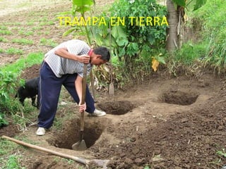 TRAMPA EN TIERRA 