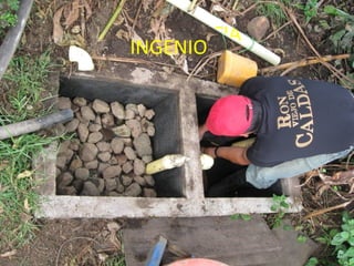 eEFEFICIENCIA INGENIO 