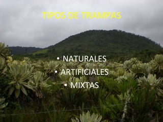 TIPOS DE TRAMPAS NATURALES ARTIFICIALES MIXTAS 