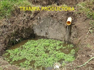 TRAMPA PRODUCTORA 