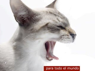 ¿cómo evitar las trampas del powerpoint?