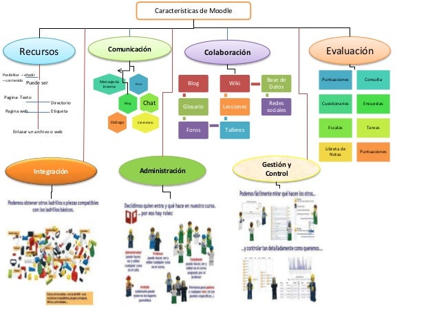 Tranajo moodle organizador grafico