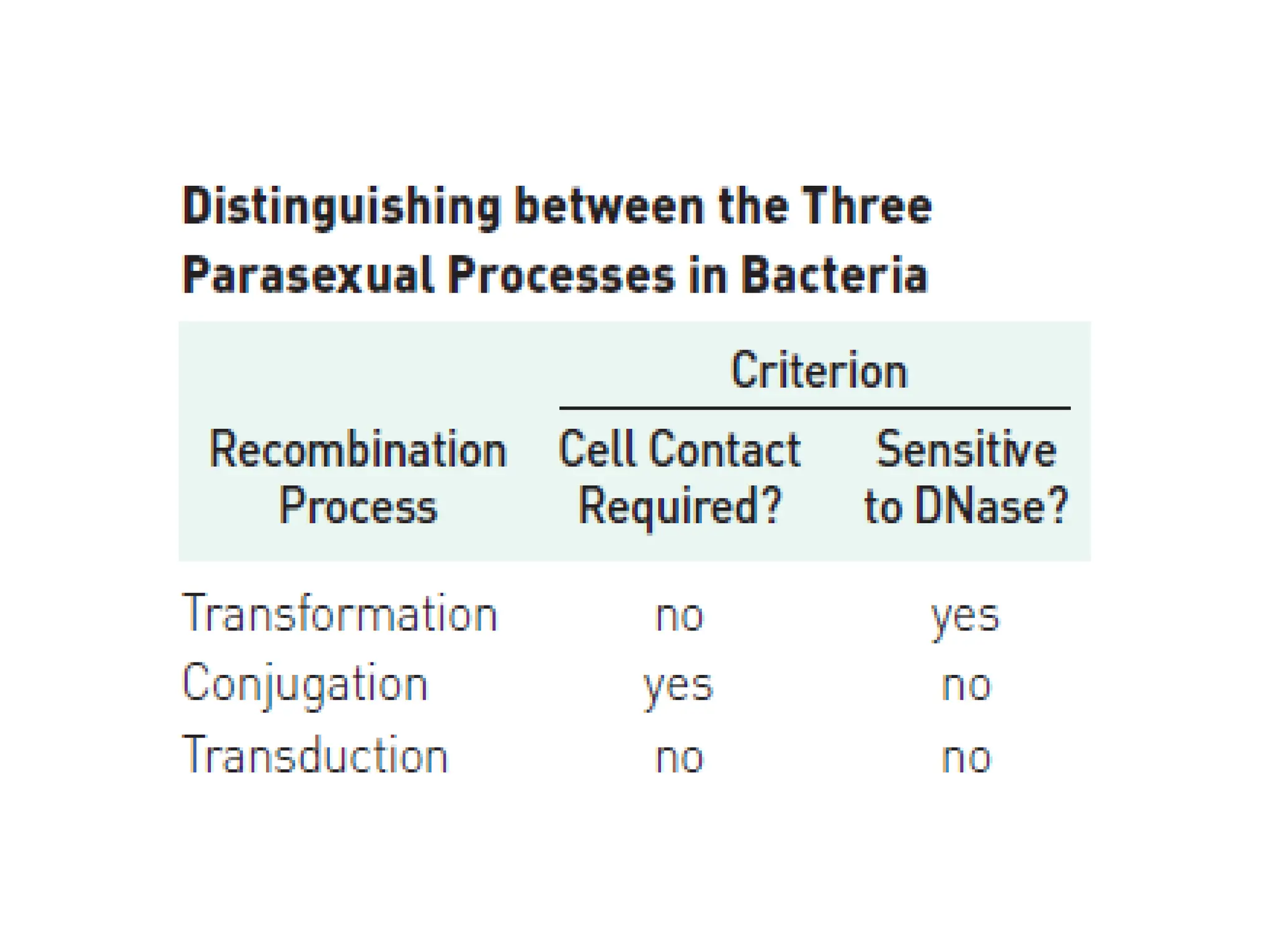 Tranformation.pp sjsis sjsis sis8bsd. Xiixd