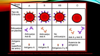 HARRISON> Parte V. Oncología y hematología > Sección 2. Trastornos hematopoyéticos > Capítulo 99. Biología y empleo terapéutico de las transfusiones>
 