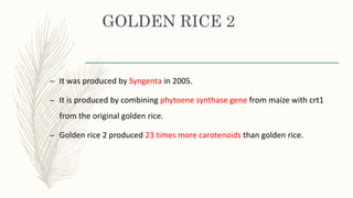 GOLDEN RICE 2
– It was produced by Syngenta in 2005.
– It is produced by combining phytoene synthase gene from maize with crt1
from the original golden rice.
– Golden rice 2 produced 23 times more carotenoids than golden rice.
 