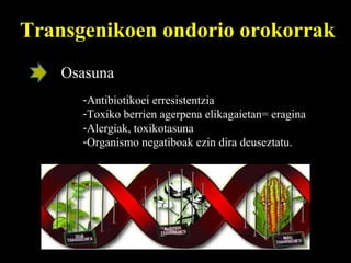 Transgenikoen ondorio orokorrak Osasuna Antibiotikoei erresistentzia  Toxiko berrien agerpena elikagaietan= eragina  Alergiak, toxikotasuna Organismo negatiboak ezin dira deuseztatu. 