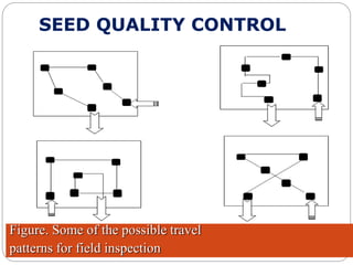 SEED QUALITY CONTROL
Figure. Some of the possible travel
patterns for field inspection
 