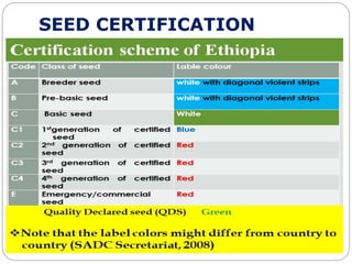 SEED CERTIFICATION
 