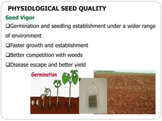 PHYSIOLOGICAL SEED QUALITY
Seed Vigor
Germination and seedling establishment under a wider range
of environment
Faster growth and establishment
Better competition with weeds
Disease escape and better yield
 