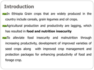 Introduction
In Ethiopia Grain crops that are widely produced in the
country include cereals, grain legumes and oil crops.
Agricultural production and productivity are lagging, which
has resulted in food and nutrition insecurity
To alleviate food insecurity and malnutrition through
increasing productivity, development of improved varieties of
seed crops along with improved crop management and
protection packages for enhancing productivity of food and
forage crop.
 