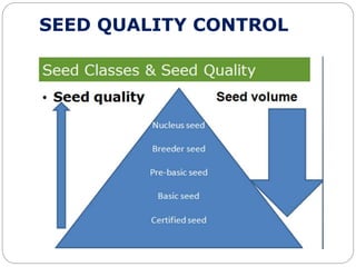 SEED QUALITY CONTROL
 