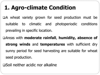 1. Agro-climate Condition
A wheat variety grown for seed production must be
suitable to climatic and photoperiodic conditions
prevailing in specific location.
Areas with moderate rainfall, humidity, absence of
strong winds and temperatures with sufficient dry
sunny period for seed harvesting are suitable for wheat
seed production.
Soil neither acidic nor alkaline
 