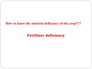 Fertilizer deficiency
How to know the nutrient deficiency of the crop???
 