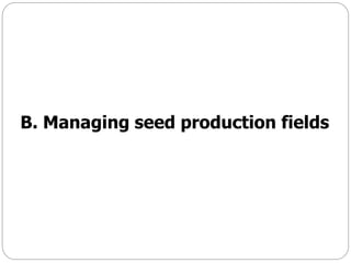 B. Managing seed production fields
 