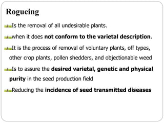 Rogueing
Is the removal of all undesirable plants.
when it does not conform to the varietal description.
It is the process of removal of voluntary plants, off types,
other crop plants, pollen shedders, and objectionable weed
Is to assure the desired varietal, genetic and physical
purity in the seed production field
Reducing the incidence of seed transmitted diseases
 