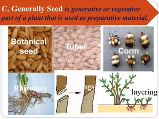 Botanical
seed
Tuber
Corm
Rhizomes Cuttings
layering
C. Generally Seed is generative or vegetative
part of a plant that is used as preparative material.
 