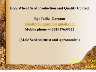 By: Mulusew Fikre
EGS Wheat Seed Production and Quality Control
By: Talila Garamu
Email=talilagaram@gmail.com
Mobile phone =+251917639222
(M.Sc Seed scientist and Agronomist )
October 6 2022
Assala
 