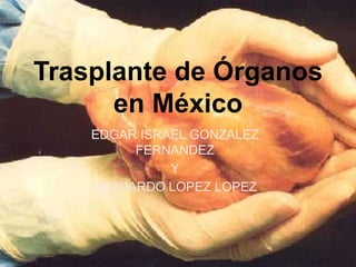 EDGAR ISRAEL GONZALEZ
FERNANDEZ
Y
LEONARDO LOPEZ LOPEZ
Trasplante de Órganos
en México
 