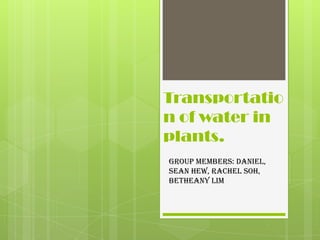 Transportatio
n of water in
plants.
Group members: Daniel,
Sean Hew, Rachel Soh,
Betheany Lim
 