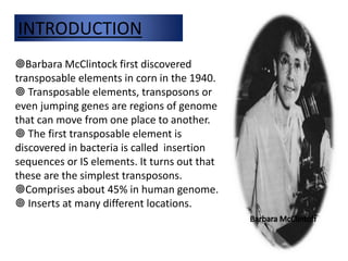 INTRODUCTION 
Barbara McClintock first discovered 
transposable elements in corn in the 1940. 
 Transposable elements, transposons or 
even jumping genes are regions of genome 
that can move from one place to another. 
 The first transposable element is 
discovered in bacteria is called insertion 
sequences or IS elements. It turns out that 
these are the simplest transposons. 
Comprises about 45% in human genome. 
 Inserts at many different locations. 
 