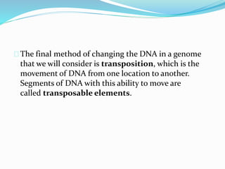The final method of changing the DNA in a genome 
that we will consider is transposition, which is the 
movement of DNA from one location to another. 
Segments of DNA with this ability to move are 
called transposable elements. 
 