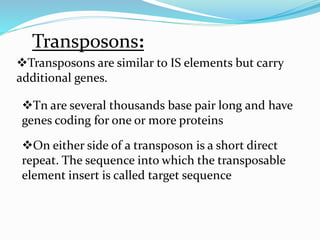 Transposons: 
Transposons are similar to IS elements but carry 
additional genes. 
Tn are several thousands base pair long and have 
genes coding for one or more proteins 
On either side of a transposon is a short direct 
repeat. The sequence into which the transposable 
element insert is called target sequence 
 