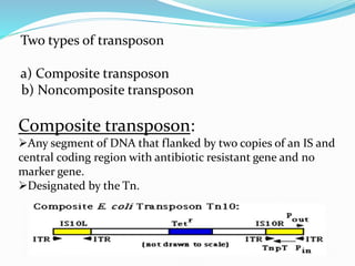 Two types of transposon 
a) Composite transposon 
b) Noncomposite transposon 
Composite transposon: 
Any segment of DNA that flanked by two copies of an IS and 
central coding region with antibiotic resistant gene and no 
marker gene. 
Designated by the Tn. 
 