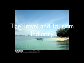 The Travel and Tourism
       Industry
 