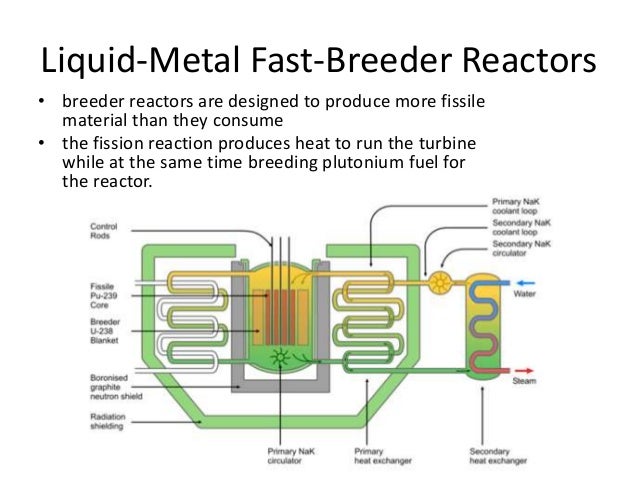 fast breeder reactors essay View essay - week 8 essay from ph 221 at grantham university nuclear reactors & their differences physics 221 gid: week #8 essay (lab) ph221 week 8 lab 2 nuclear reactors and their. fast breeder reactors essay View essay - week 8 essay from ph 221 at grantham university nuclear reactors & their differences physics 221 gid: week #8 essay (lab) ph221 week 8 lab 2 nuclear reactors and their.