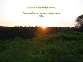 Acaricia el sol del norte.
Podes obtener momentos como
este.