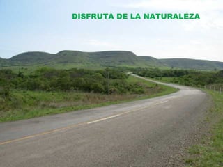DISFRUTA DE LA NATURALEZA
