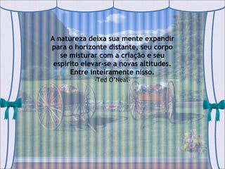 A natureza deixa sua mente expandir para o horizonte distante, seu corpo se misturar com a criação e seu espírito elevar-se a novas altitudes. Entre inteiramente nisso. -Ted O’Neal- 