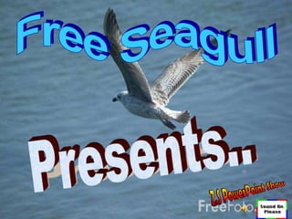 Free Seagull Presents.. Z.S PowerPoint Show 