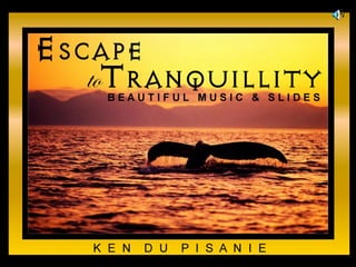 Escape to Tranquility