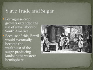 Portuguese crop growers extended the use of slave labor to South America. Because of this, Brazil would eventually become the wealthiest of the sugar-producing lands in the western hemisphere. 