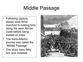 Middle Passage
• Following capture,
slaves were force-
marched to holding forts
along the west African
coast before being
loaded on ships
• The trans-Atlantic
journey was called the
“Middle Passage”
• The ships were filthy,
hot, and crowded
 