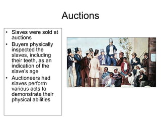 Auctions
• Slaves were sold at
auctions
• Buyers physically
inspected the
slaves, including
their teeth, as an
indication of the
slave’s age
• Auctioneers had
slaves perform
various acts to
demonstrate their
physical abilities
 
