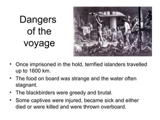 Dangers
of the
voyage
• Once imprisoned in the hold, terrified islanders travelled
up to 1600 km.
• The food on board was strange and the water often
stagnant.
• The blackbirders were greedy and brutal.
• Some captives were injured, became sick and either
died or were killed and were thrown overboard.
 