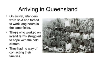 Arriving in Queensland
• On arrival, islanders
were sold and forced
to work long hours in
the cane fields.
• Those who worked on
inland farms struggled
to cope with the cold
climate
• They had no way of
contacting their
families.
 