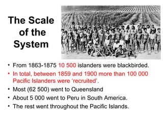The Scale
of the
System
• From 1863-1875 10 500 islanders were blackbirded.
• In total, between 1859 and 1900 more than 100 000
Pacific Islanders were ‘recruited’.
• Most (62 500) went to Queensland
• About 5 000 went to Peru in South America.
• The rest went throughout the Pacific Islands.
 