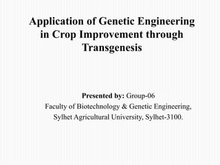 Presented by: Group-06
Faculty of Biotechnology & Genetic Engineering,
Sylhet Agricultural University, Sylhet-3100.
Application of Genetic Engineering
in Crop Improvement through
Transgenesis
 