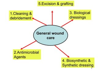 General wound  care 1.Cleaning & debridement 2.Antimicrobial  Agents  3. Biological dressings 4. Biosynthetic & Synthetic dressing 5.Excision & grafting 