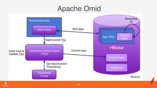 Apache Omid
40
 